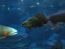 IMG_3959.JPG