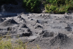 DSC_0167.JPG
