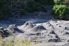 DSC_0168.JPG