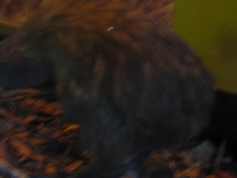 IMG_3962.JPG