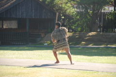 DSC_0175.JPG