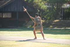 DSC_0176.JPG