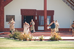 DSC_0178.JPG