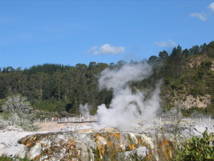 IMG_3969.JPG