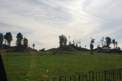DSC_0188.JPG