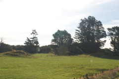 DSC_0190.JPG