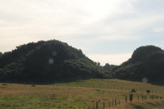 DSC_0191.JPG