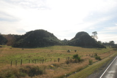 DSC_0192.JPG