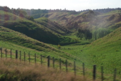 DSC_0193.JPG