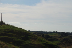 DSC_0194.JPG