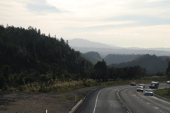 DSC_0195.JPG