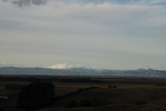 DSC_0198.JPG