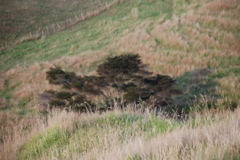DSC_0199.JPG