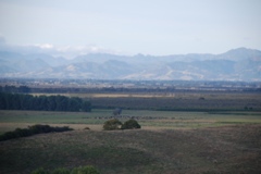 DSC_0200.JPG