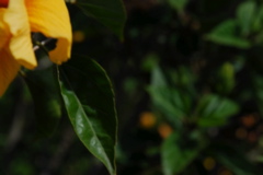 DSC_0212.JPG