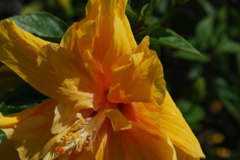 DSC_0214.JPG