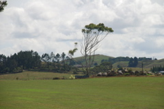 DSC_0217.JPG