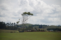 DSC_0218.JPG