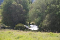 DSC_0219.JPG