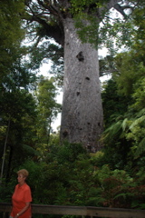 DSC_0226.JPG