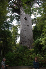 DSC_0227.JPG