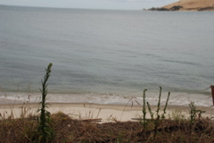 DSC_0236.JPG