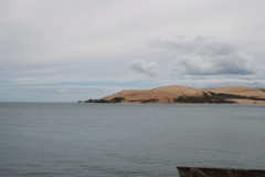 DSC_0238.JPG