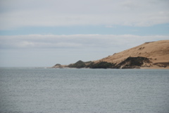 DSC_0239.JPG