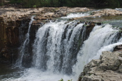 DSC_0247.JPG