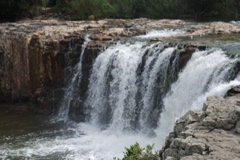 DSC_0248.JPG
