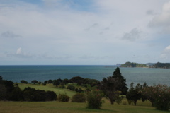 DSC_0252.JPG