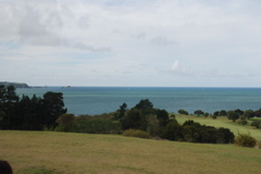 DSC_0253.JPG