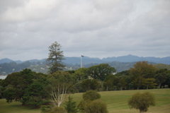 DSC_0255.JPG