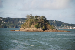 DSC_0260.JPG