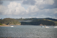 DSC_0261.JPG