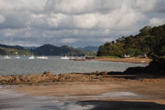 DSC_0262.JPG