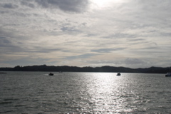 DSC_0270.JPG