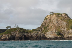 DSC_0275.JPG