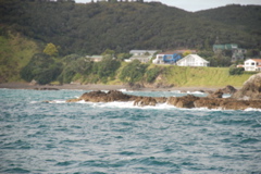 DSC_0277.JPG