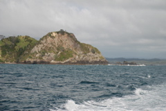 DSC_0278.JPG