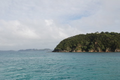 DSC_0280.JPG