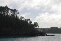 DSC_0284.JPG