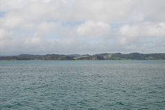 DSC_0285.JPG