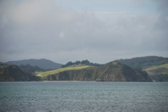 DSC_0287.JPG