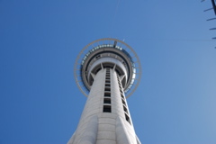 DSC_0031.JPG