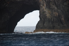 DSC_0297.JPG