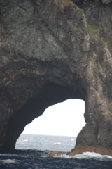 DSC_0298.JPG