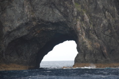 DSC_0299.JPG