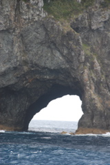 DSC_0300.JPG