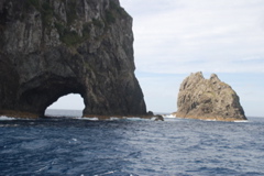 DSC_0301.JPG